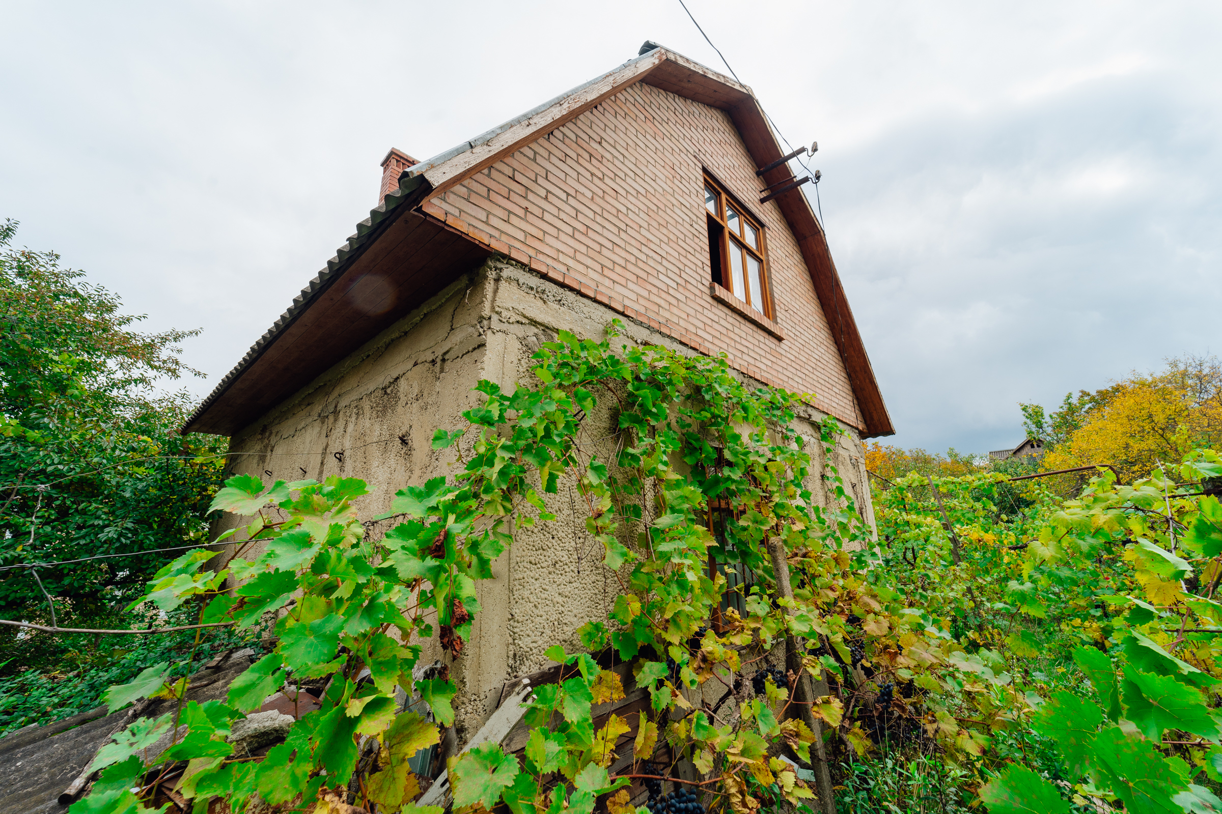 house image