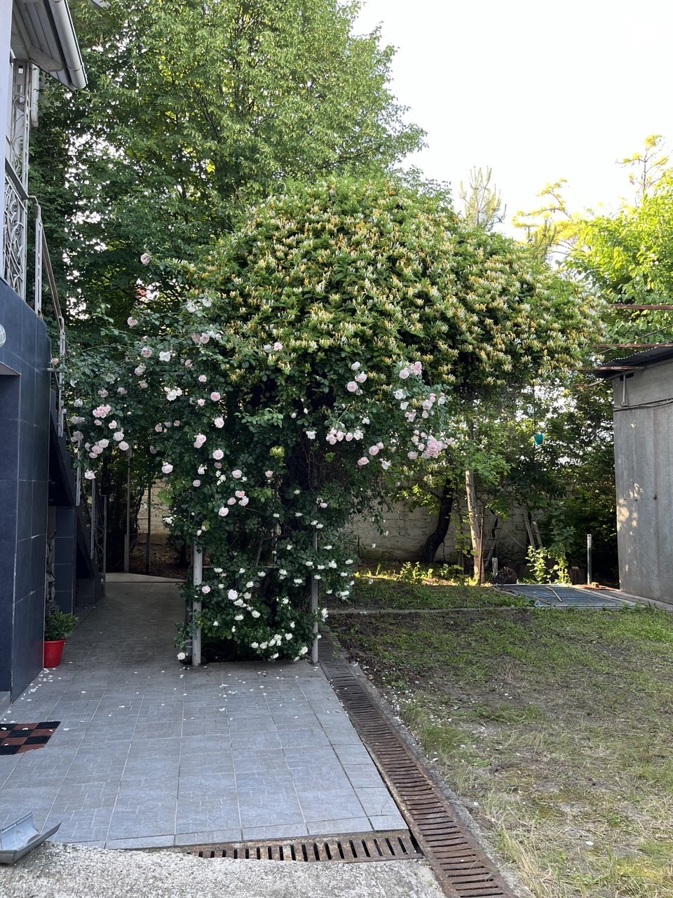 house image