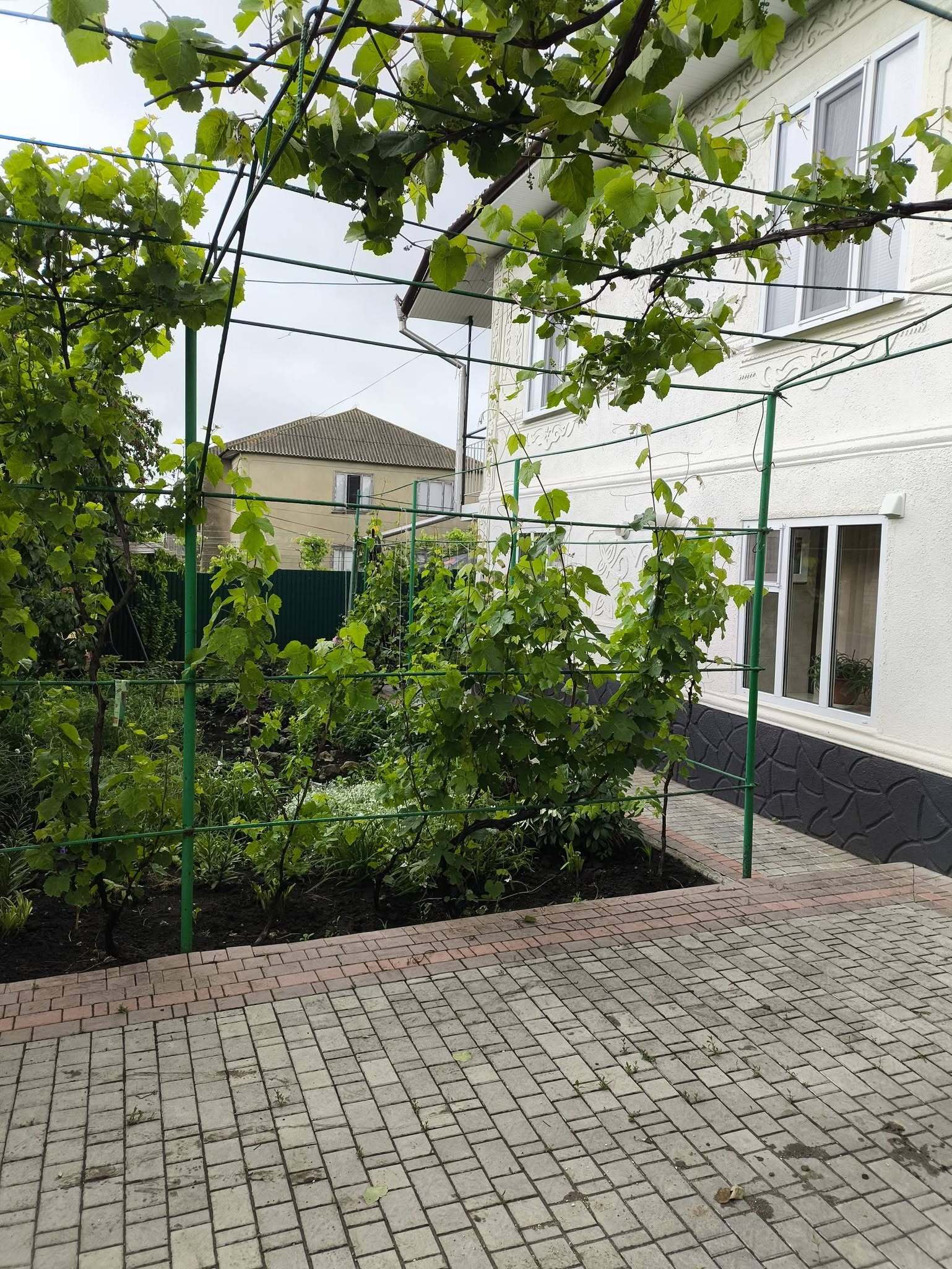 house image