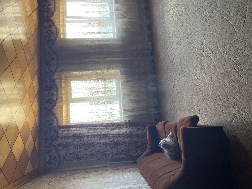 house image
