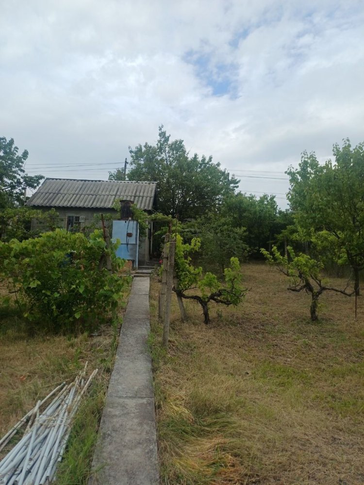 house image