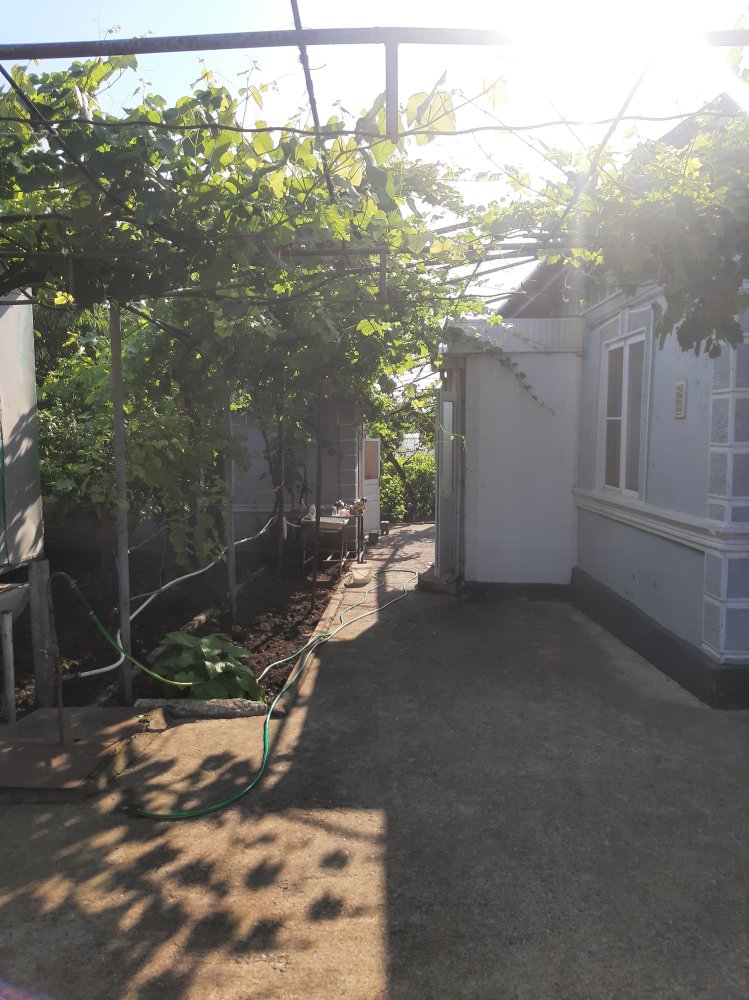 house image